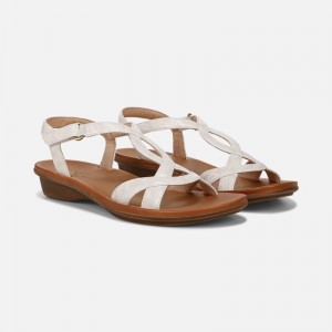 Naturalizer SOUL Solo Sandal Womens Beige / Snake Flat Sandals DT38-2558P3