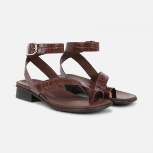 Naturalizer Birch Sandal Womens Brown Flat Sandals CV95-7875P2