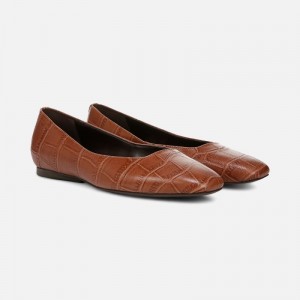 Naturalizer Chelsea Ballet Flat Womens Brown Ballet Flats RX89-3869A2