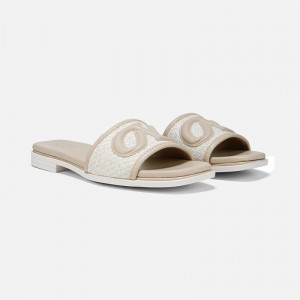 Naturalizer Genevieve Slide Sandal Womens Brown Flat Sandals YY44-8774S3