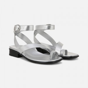 Naturalizer Birch Sandal Womens Silver Flat Sandals XS94-6494V5